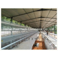 Different Capacity Layer Chicken Cage System